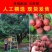 广西荔枝源头产地，专注电商供应链，产地一件代发，保证品质