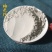 中药材精选无硫海蛤粉/海蛤/文蛤粉正品蛤壳量大从优