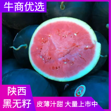 【陕西渭南黑无籽西瓜】【万亩黑无籽西瓜】大量上市中