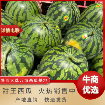 【产地直供】云南甜王西瓜火热销售中对接全国批发商