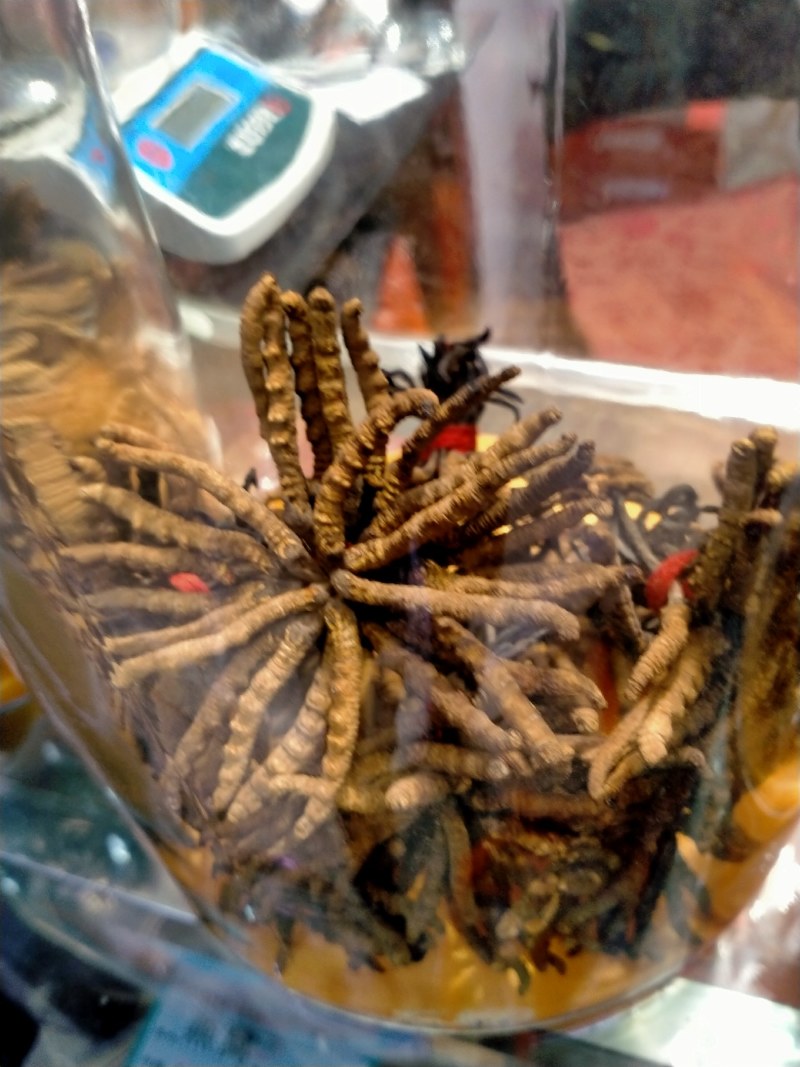 泡酒料，30多味名贵中草药配制而成！药品纯正！滋补养身！
