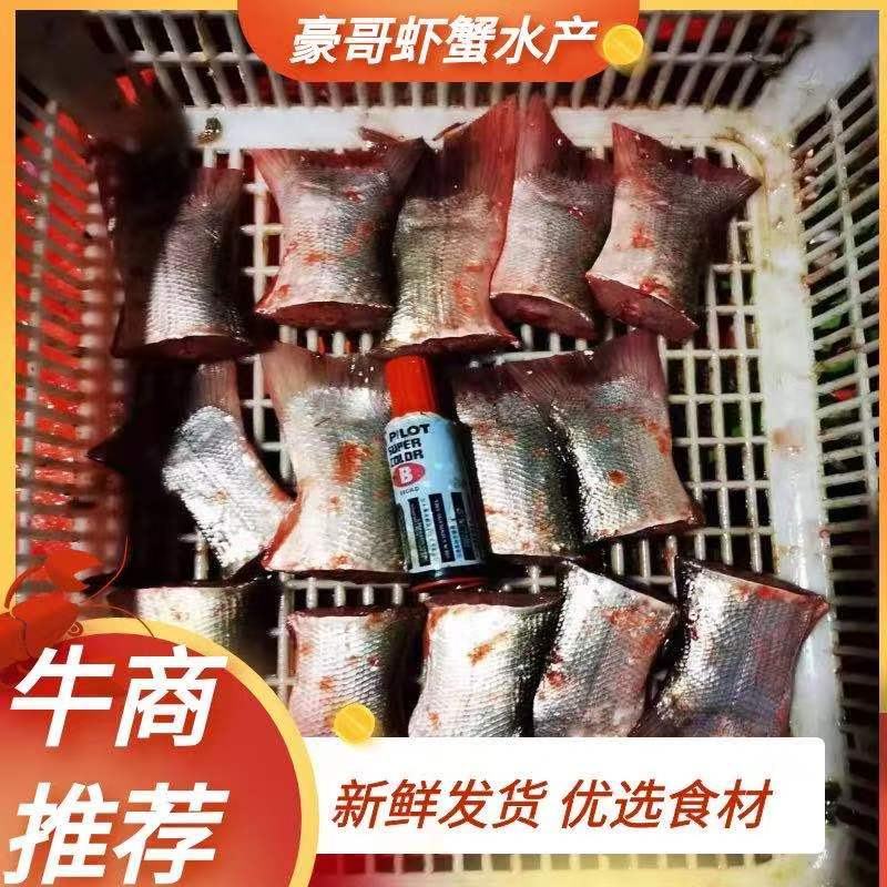 草鱼尾白鲢鱼尾尖，活鱼，酒店，快餐炸货店！量大优惠！