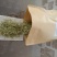 新货金银花，颜色漂亮品质保证