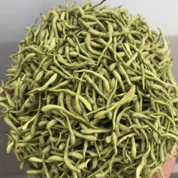 新货金银花，颜色漂亮品质保证