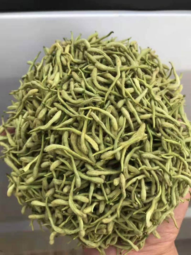 新货金银花，颜色漂亮品质保证