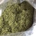 新货金银花，颜色漂亮品质保证