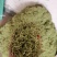新货金银花，颜色漂亮品质保证