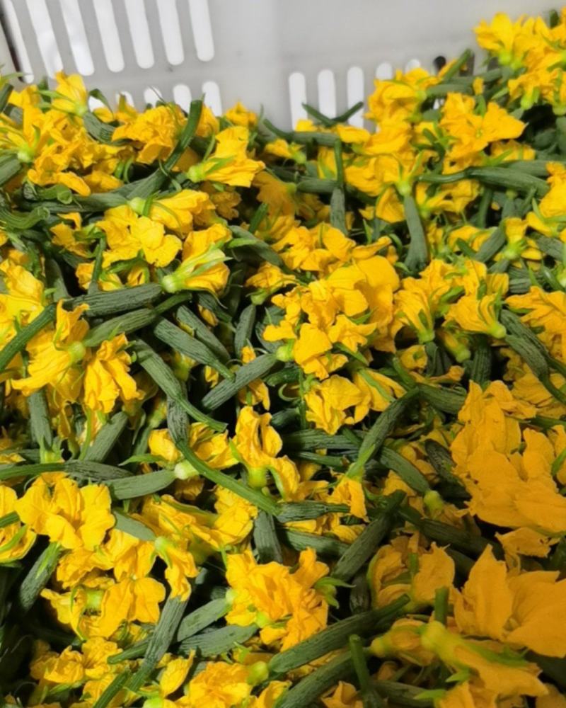 黄瓜花