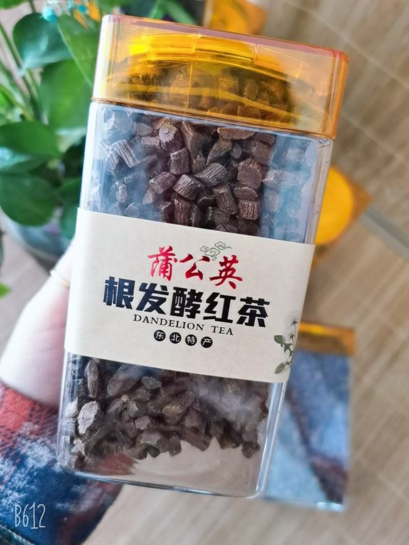 长白山蒲公英发酵红茶