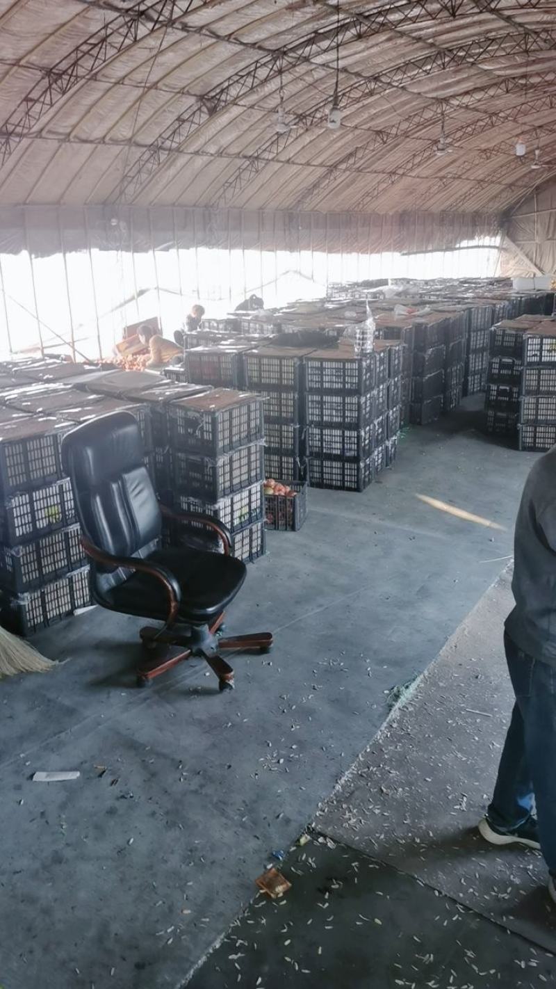 小帅蔬菜货站西红柿大量现货。