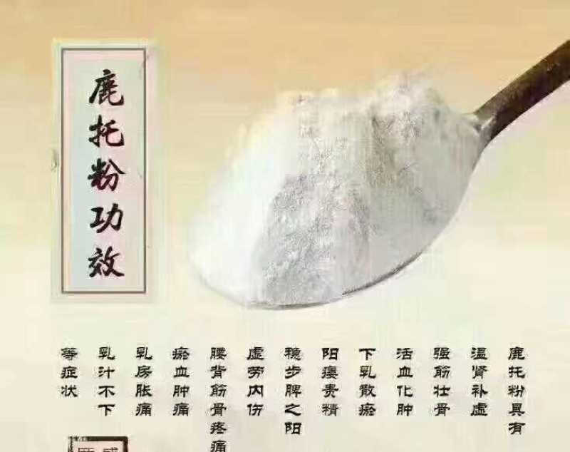鹿角帽鹿托盘粉
