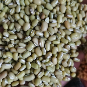 新货竹豆云南农家自产小竹豆饭豆五谷杂粮爬山豆豇豆粗粮小竹
