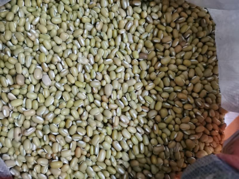 新货竹豆云南农家自产小竹豆饭豆五谷杂粮爬山豆豇豆粗粮小竹