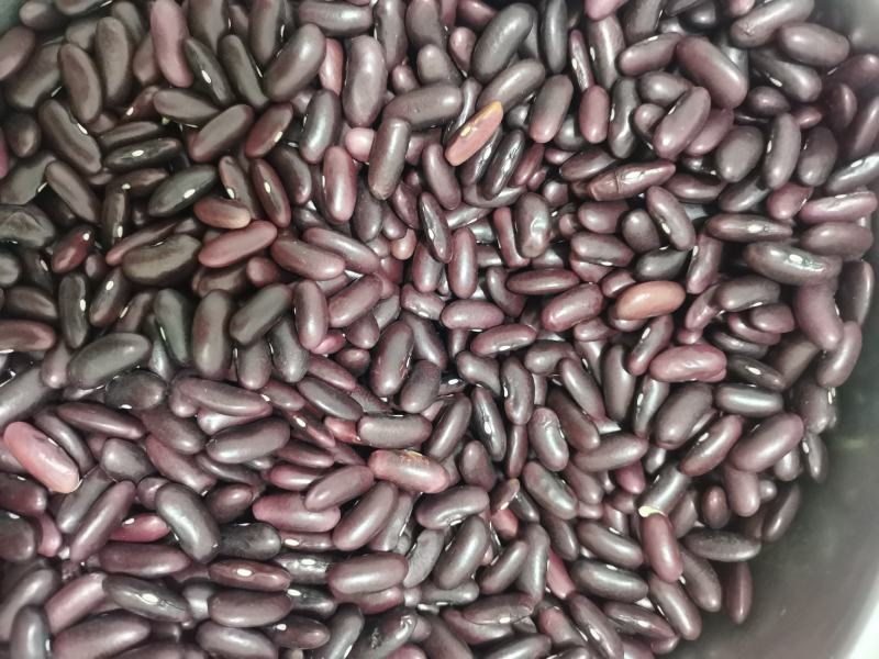 新货竹豆云南农家自产小竹豆饭豆五谷杂粮爬山豆豇豆粗粮小竹