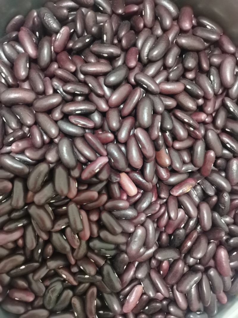 新货竹豆云南农家自产小竹豆饭豆五谷杂粮爬山豆豇豆粗粮小竹
