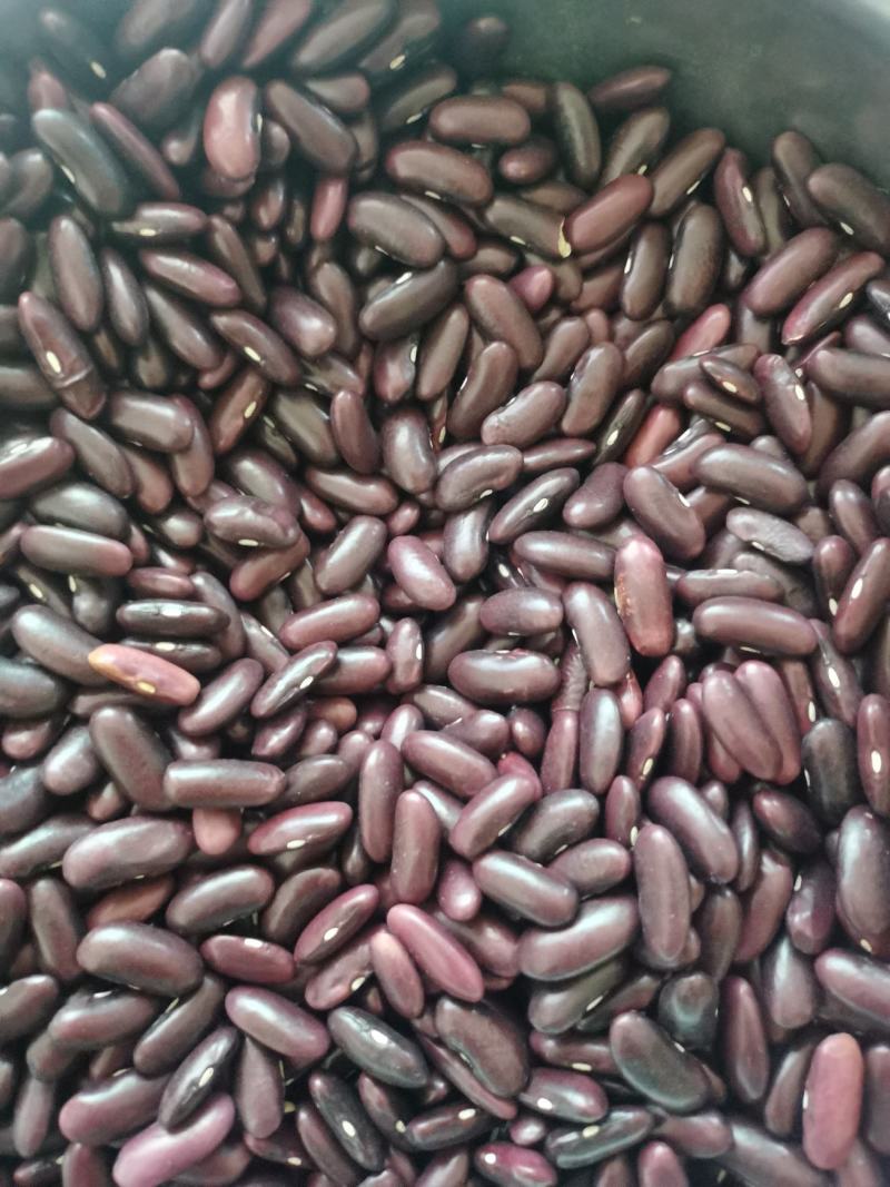 新货竹豆云南农家自产小竹豆饭豆五谷杂粮爬山豆豇豆粗粮小竹