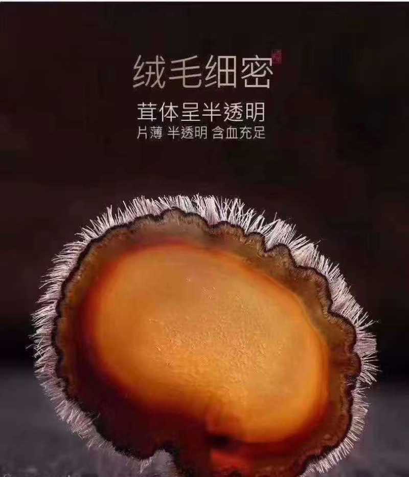 10元补差价链接