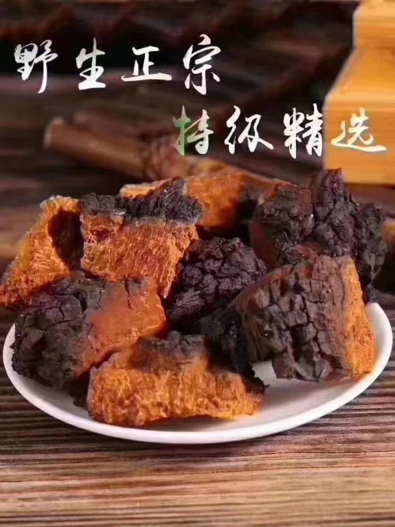 桦树茸精品小块
