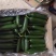 小游精品小黄瓜代办代发自己家种植的水果黄瓜脆甜现摘发现货