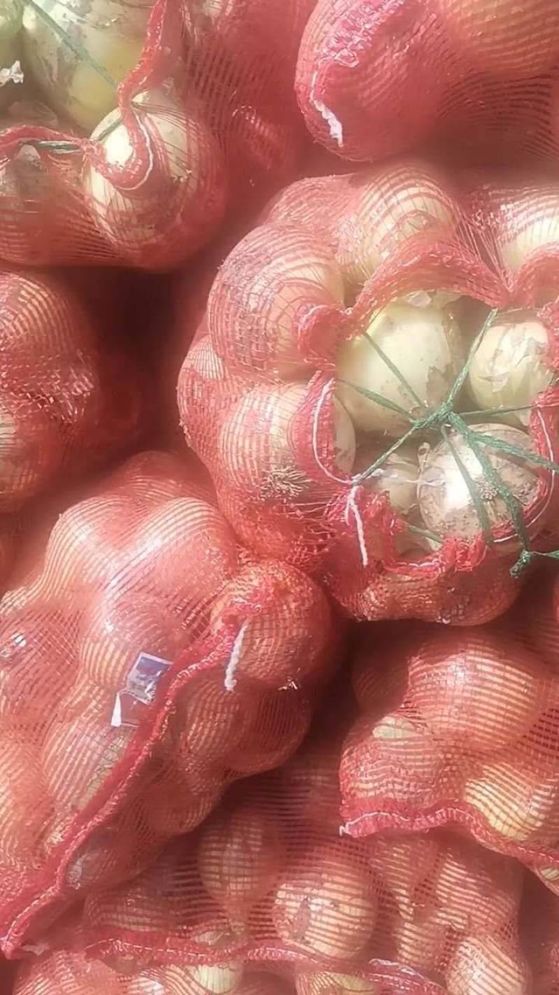 黄皮洋葱-基地直供-货源充足-保证质量-