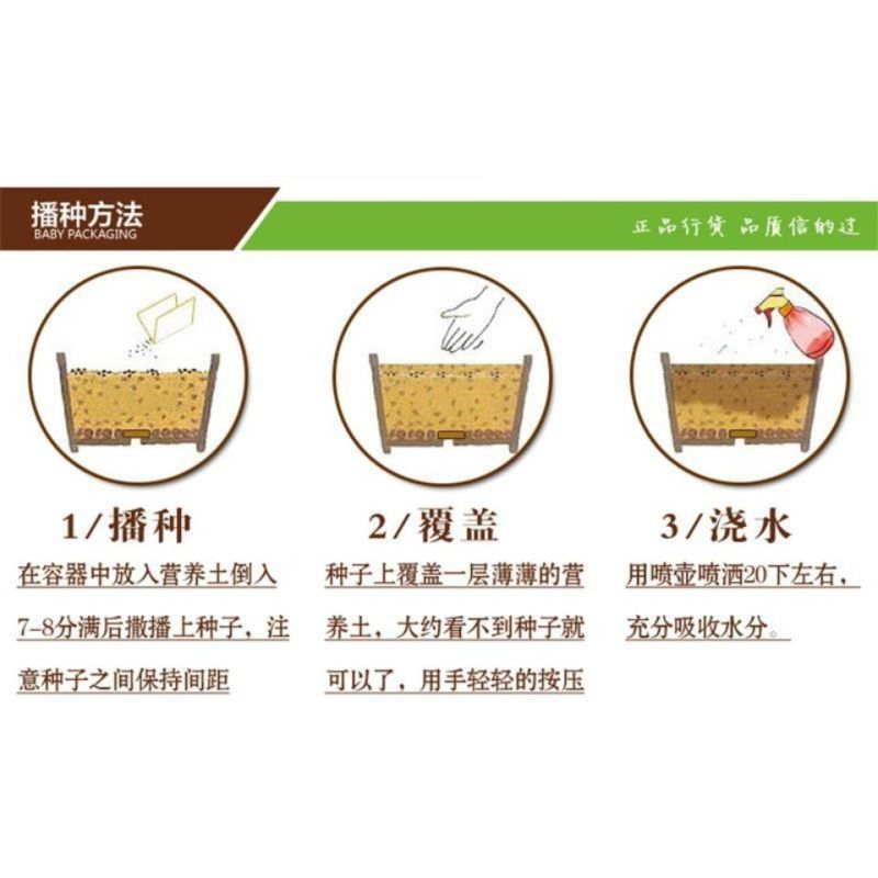 蛇莓种子纯野生浆果种子优良的地被植物蔬果种子