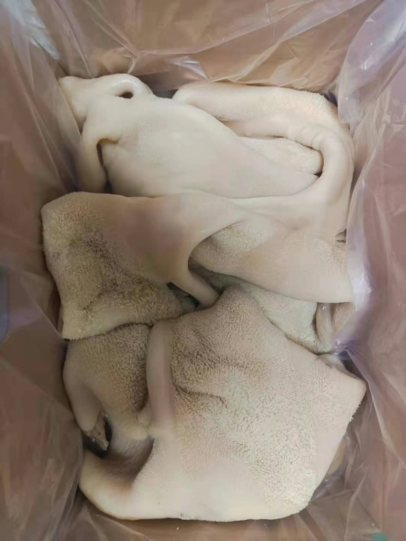 （半成品纯干牛肚）厂家直销一手货源质量保证