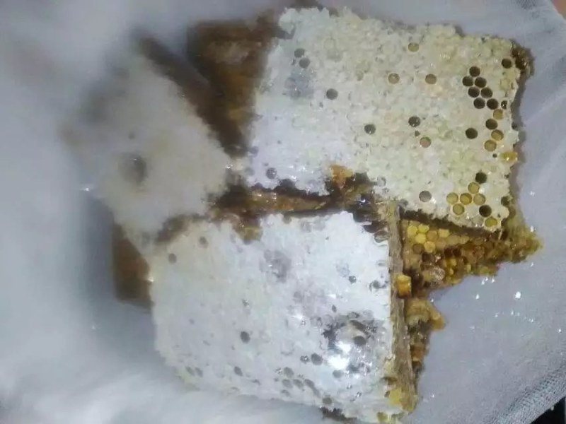 农家土蜂巢蜜瓶装巢蜜正宗纯正百花蜜自产自销房前屋后放养