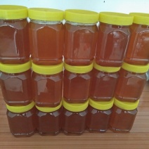 农家土蜂蜜瓶装蜂蜜正宗纯正百花蜜原汁原味自产自销房前屋