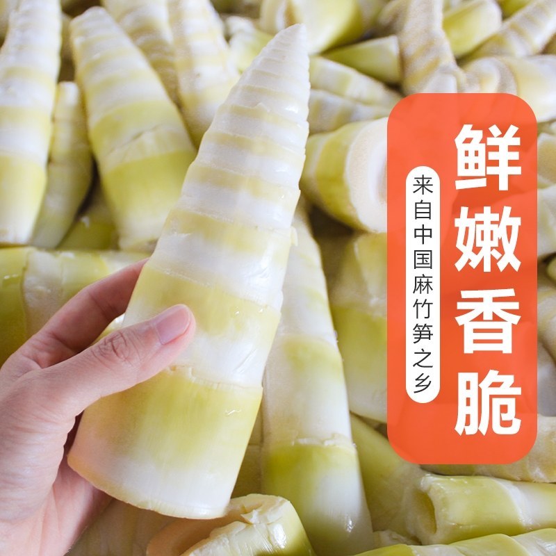 广东省英德市西牛镇甜笋，酸笋，盐笋，笋尾