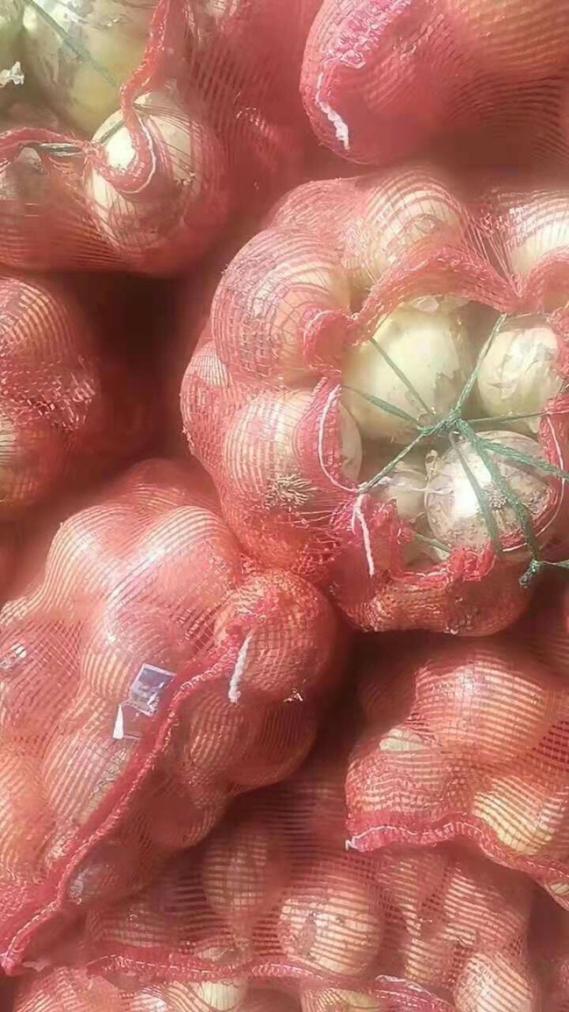 黄皮洋葱-基地直供-货源充足-价格合理