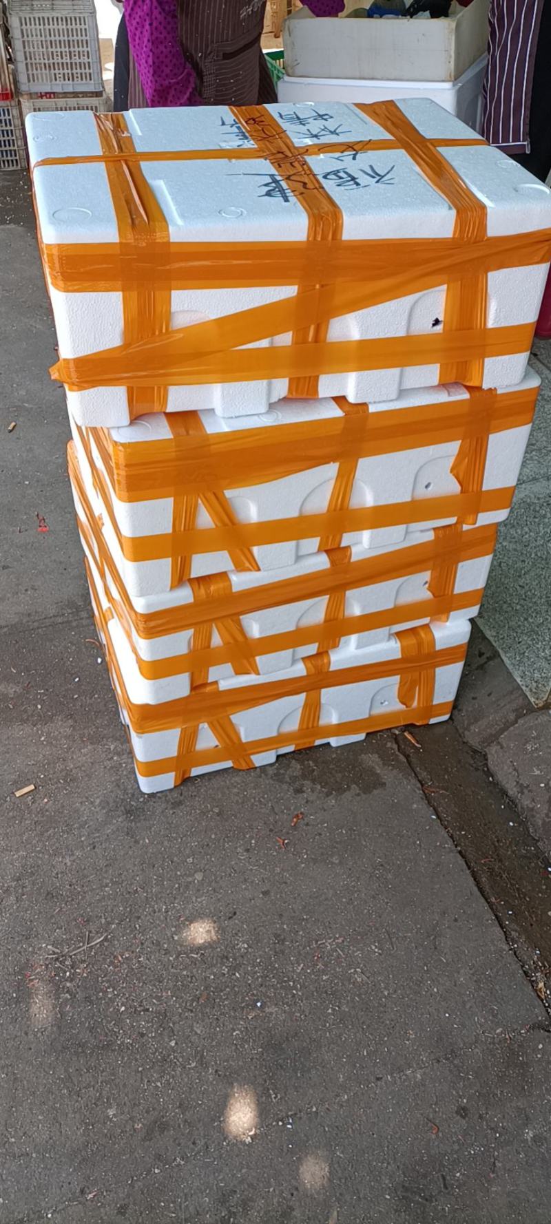 湖北洪湖小龙虾小青50斤包直达运费