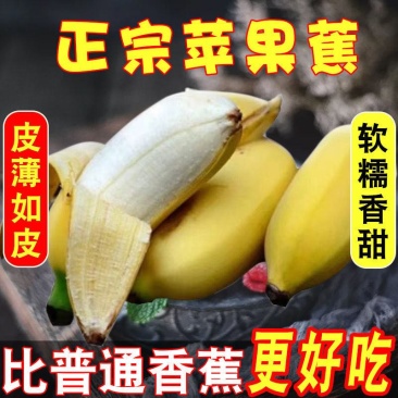 新鲜水果苹果蕉软糯香甜一件代发多种规格