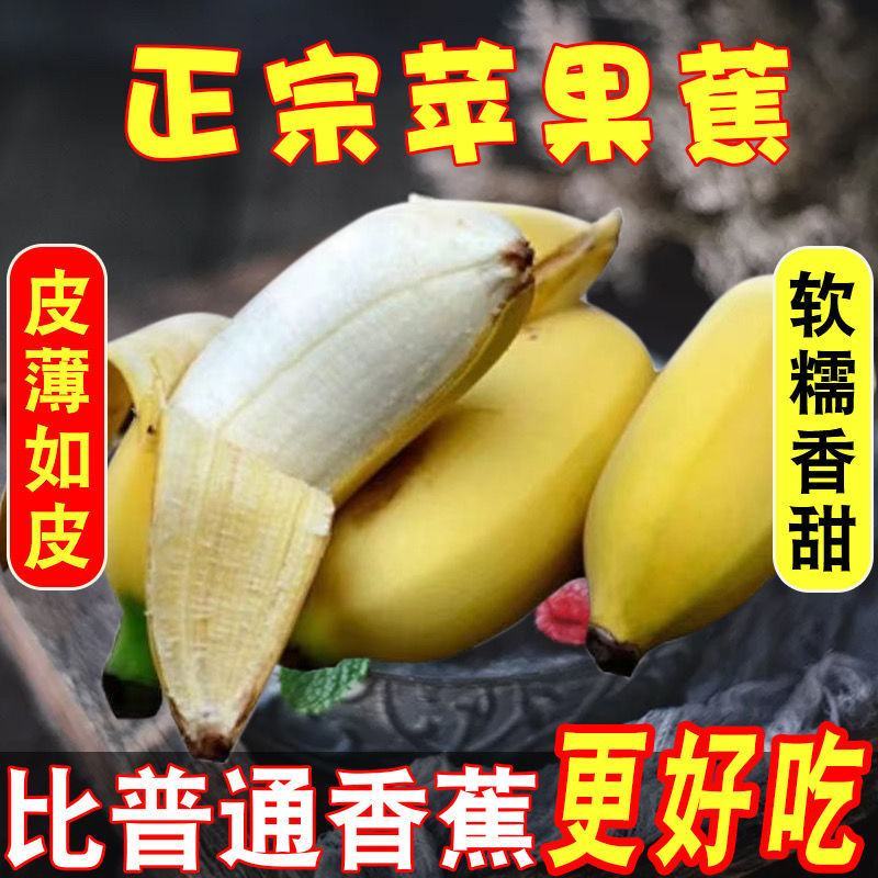 新鲜水果苹果蕉软糯香甜一件代发多种规格