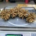 2020年高原鲜冬虫夏草青海鲜虫草需要快来订