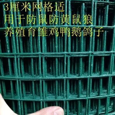 铁丝网养殖网鸡舍棚防护网菜园围栏护栏网栅栏玉米铁丝网隔离