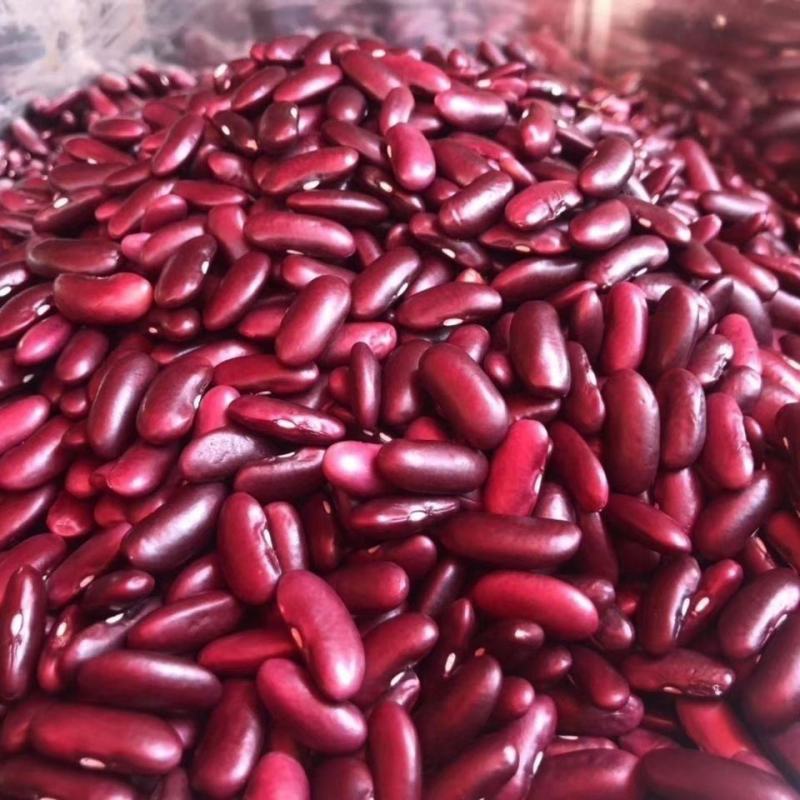 云南农家豆红腰豆白豆花豆红腰豆批发无霉豆无杂质容易熟