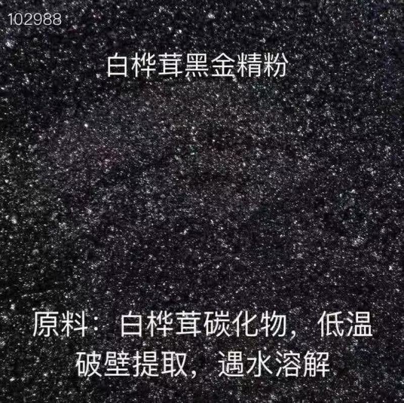 桦树茸黑金粉，进口品质，价格优势