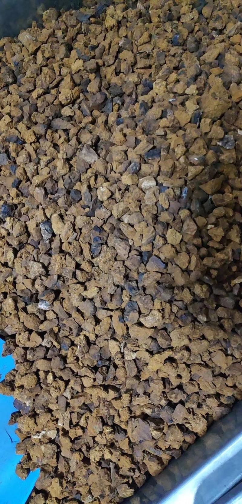 桦树茸颗粒精选颗粒，无杂质