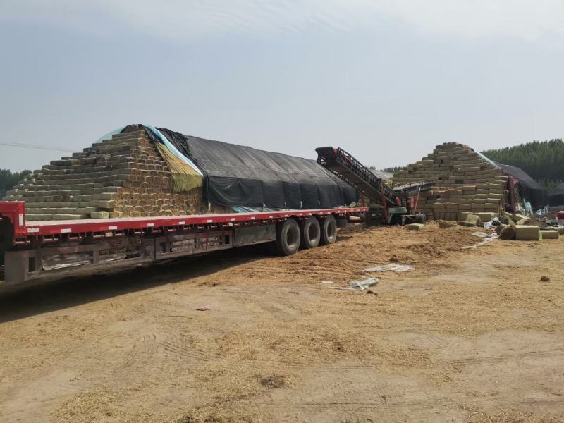 今年小麦秸秆小套袋大方捆大白包可实地考察