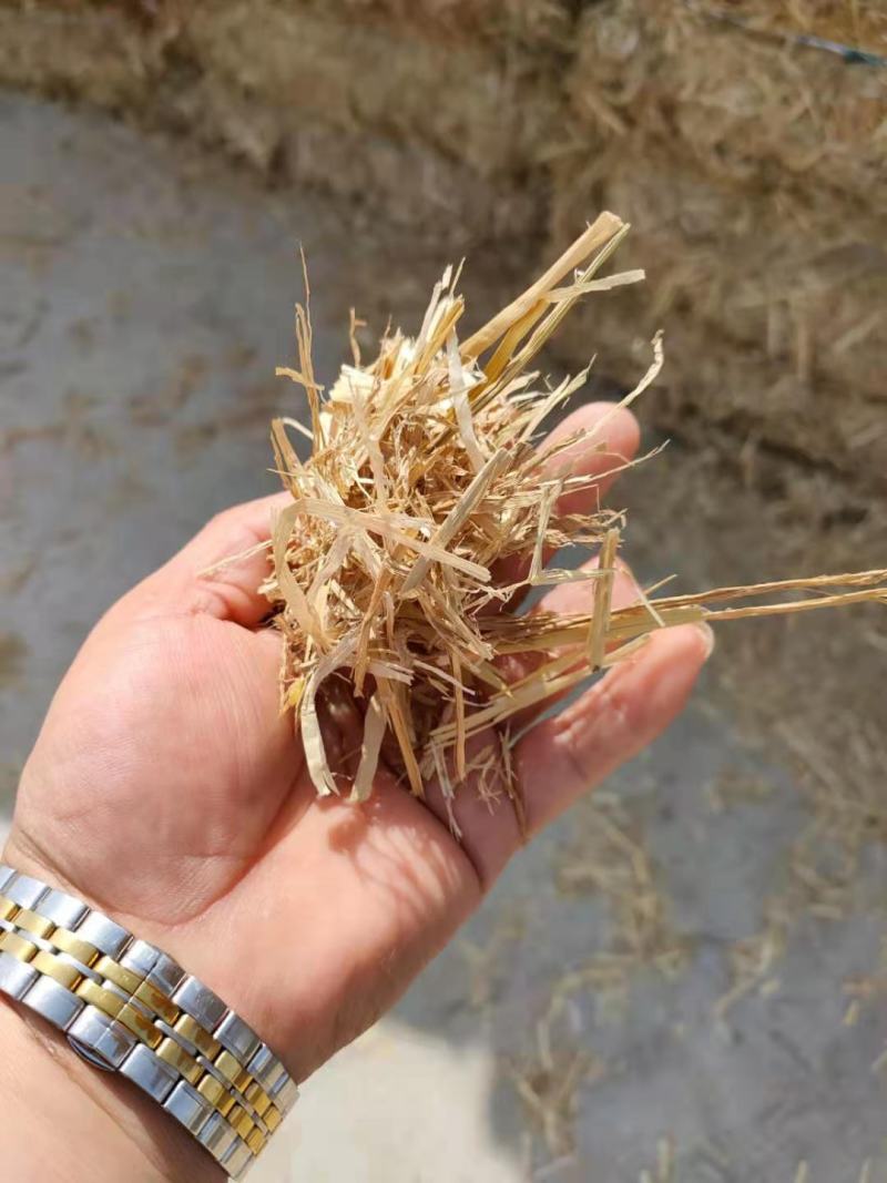 今年小麦秸秆小套袋大方捆大白包可实地考察