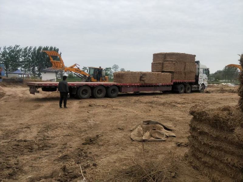今年小麦秸秆小套袋大方捆大白包可实地考察