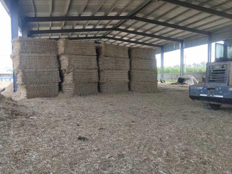 今年小麦秸秆小套袋大方捆大白包可实地考察
