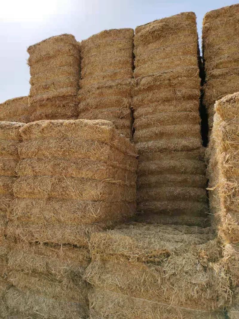 今年小麦秸秆小套袋大方捆大白包可实地考察