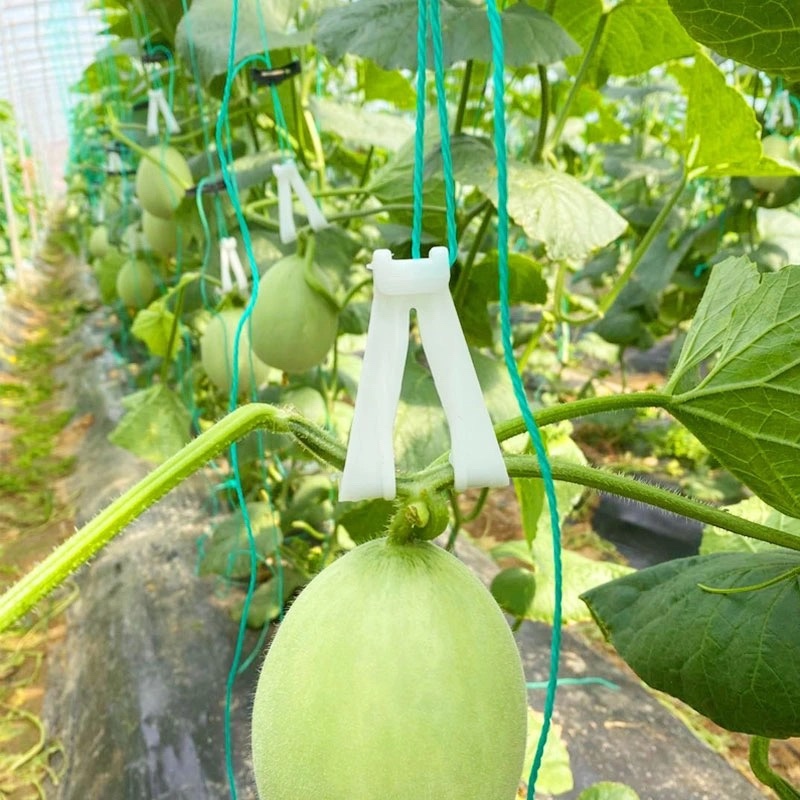 网纹瓜塑料钩子玉菇甜瓜哈密瓜小西瓜伊丽莎白瓜专用吊钩