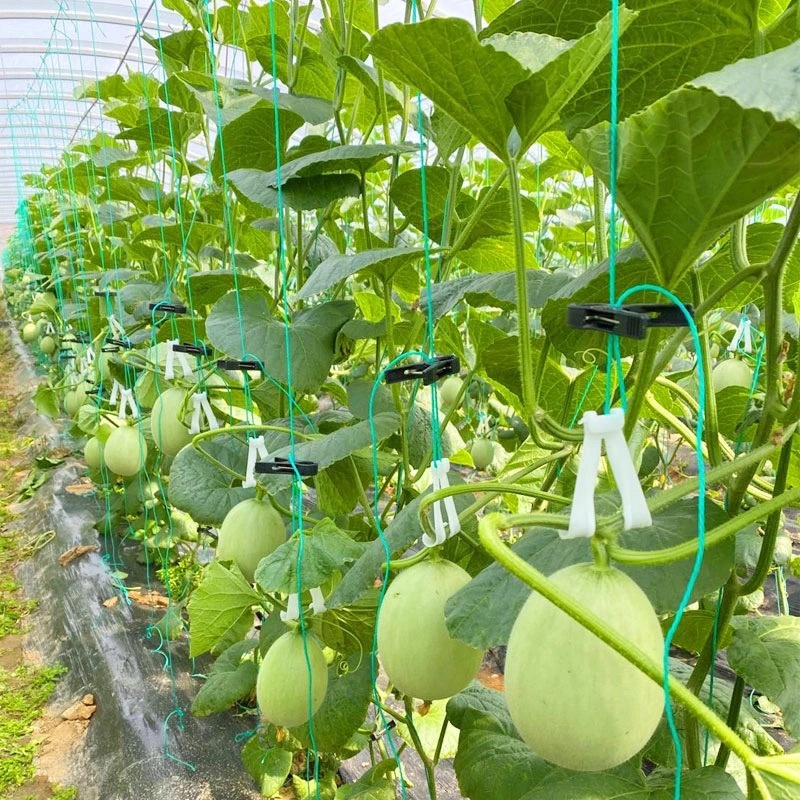 网纹瓜塑料钩子玉菇甜瓜哈密瓜小西瓜伊丽莎白瓜专用吊钩