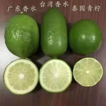 香水柠檬广东香水柠檬，无籽青柠