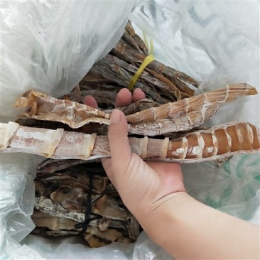 天然笋干