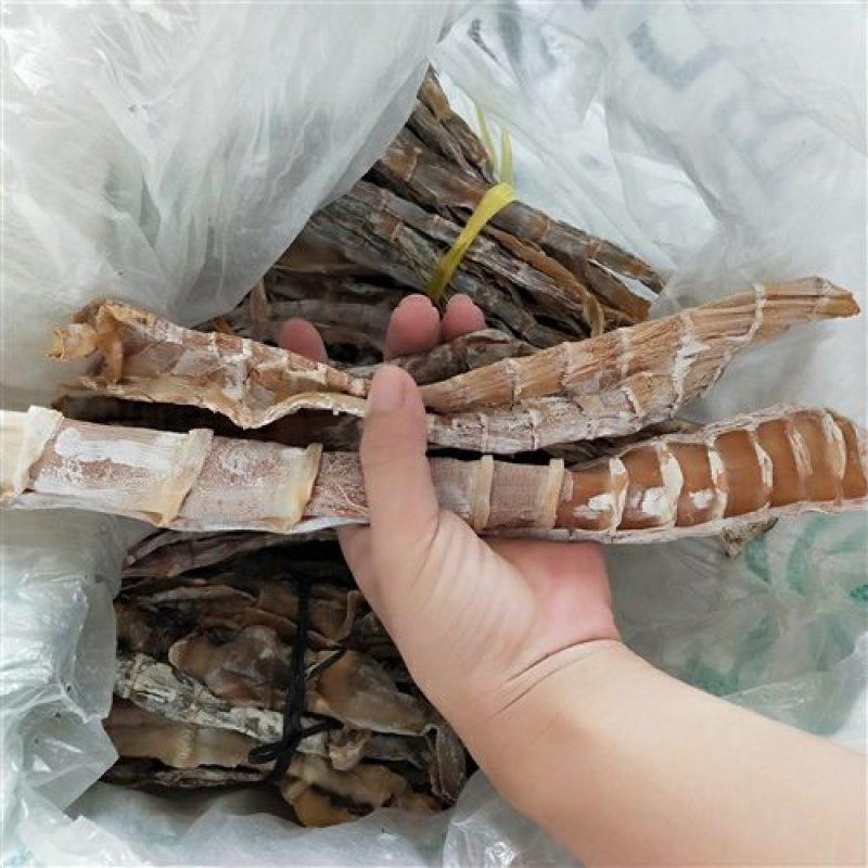 天然笋干
