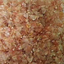 大量出售玉米大粗皮牛羊猪饲料，玉米大片