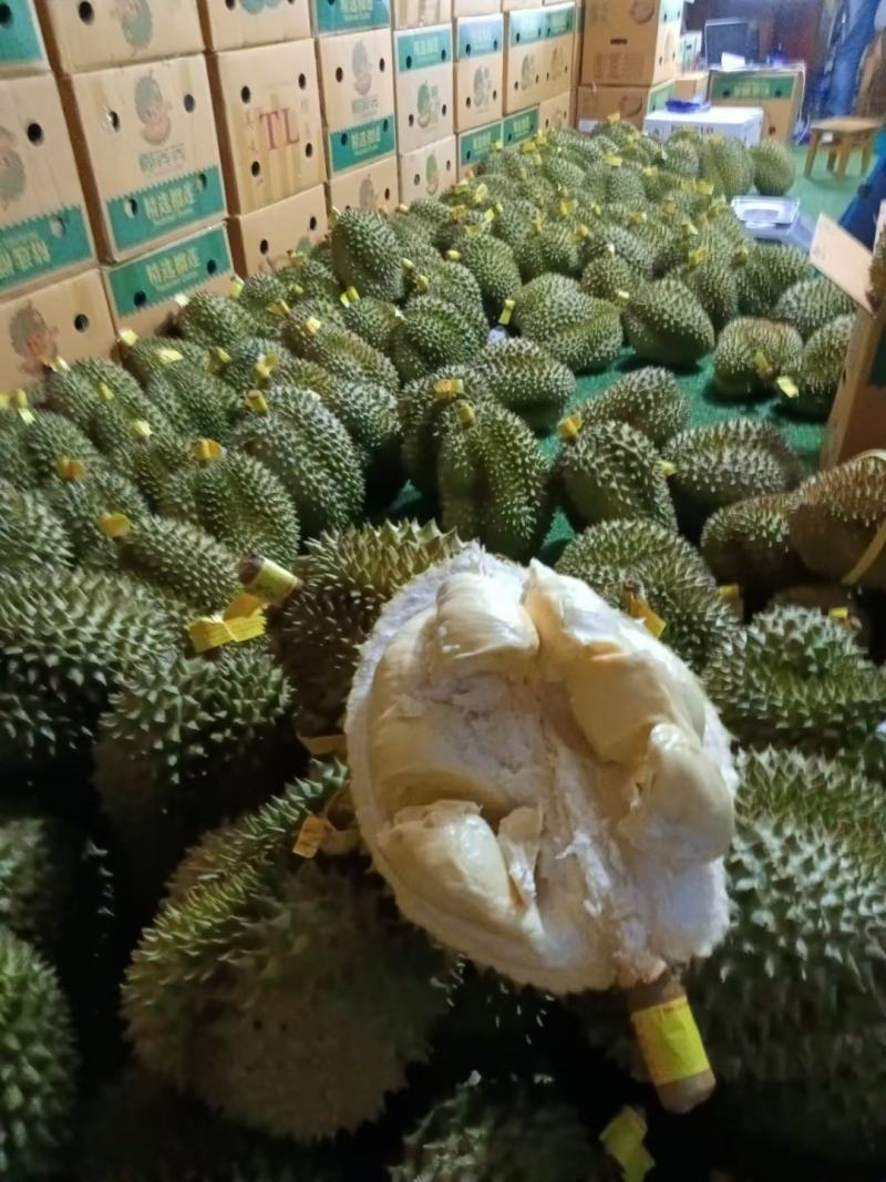 榴莲